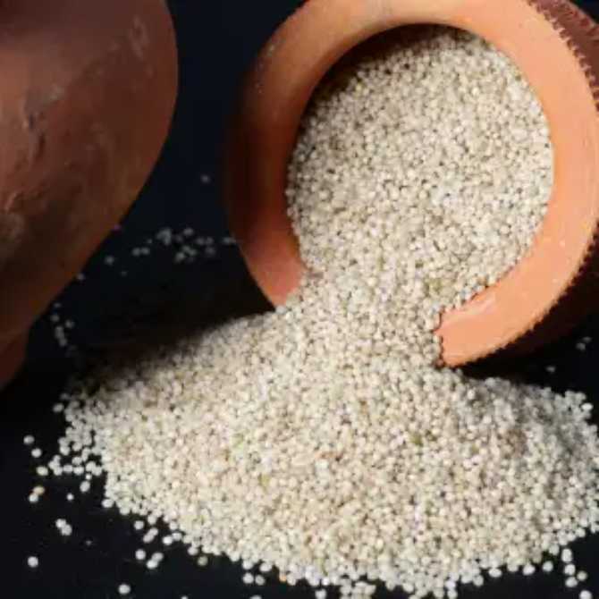 Barnyard Millet